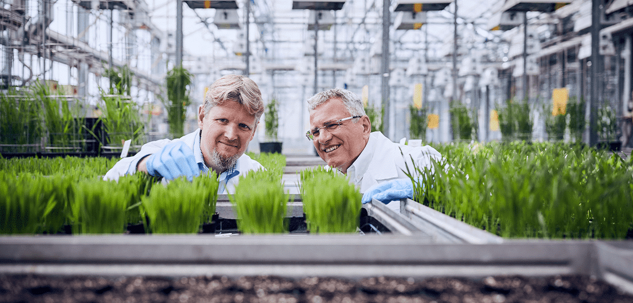 Transition agricole : BASF investit 6M€ en Hauts-de-France