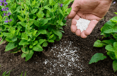 FertigHy implante son usine européenne de fertilisants bas-carbone en Hauts-de-France