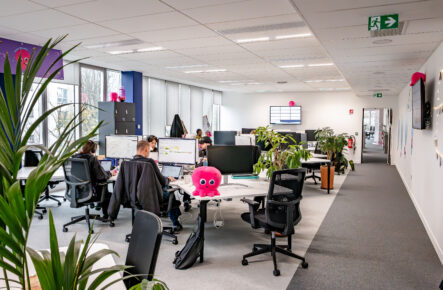 Octopus Energy accélère son développement depuis les Hauts-de-France